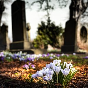 cementerio
